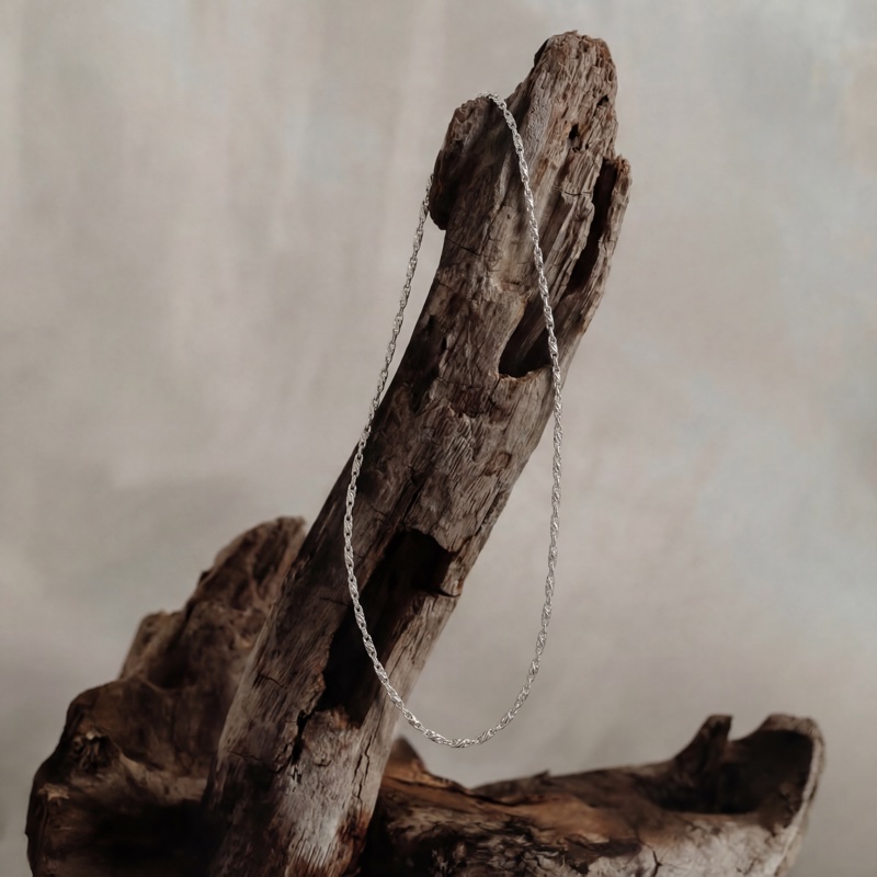 Vyanika Silver Textured Chain for Men